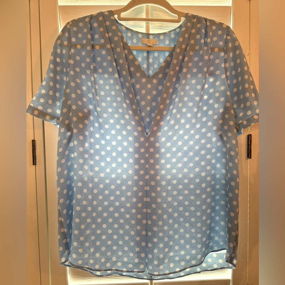 Charming Charlie polka dot blouse